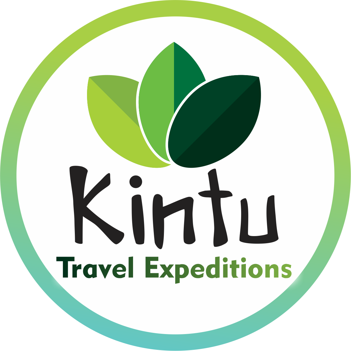 Kintu Travel Expeditions